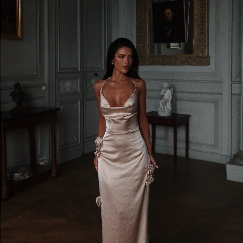 Outcast Abella Satin Maxi Dress NEW